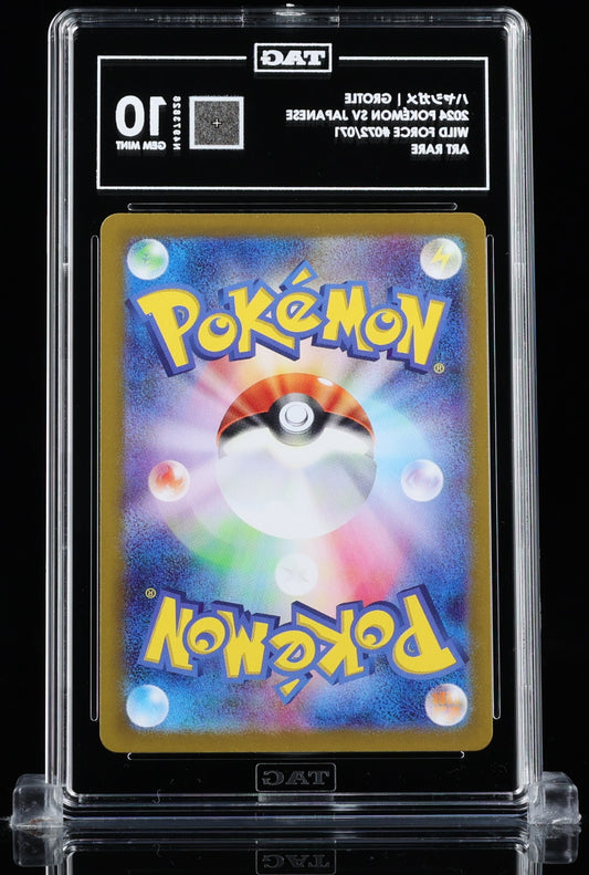 TAG 10 : GROTLE ハヤシガメ : 2024 POKÉMON SCARLET & VIOLET JAPANESE : #072/071 : WILD FORCE : ART RARE