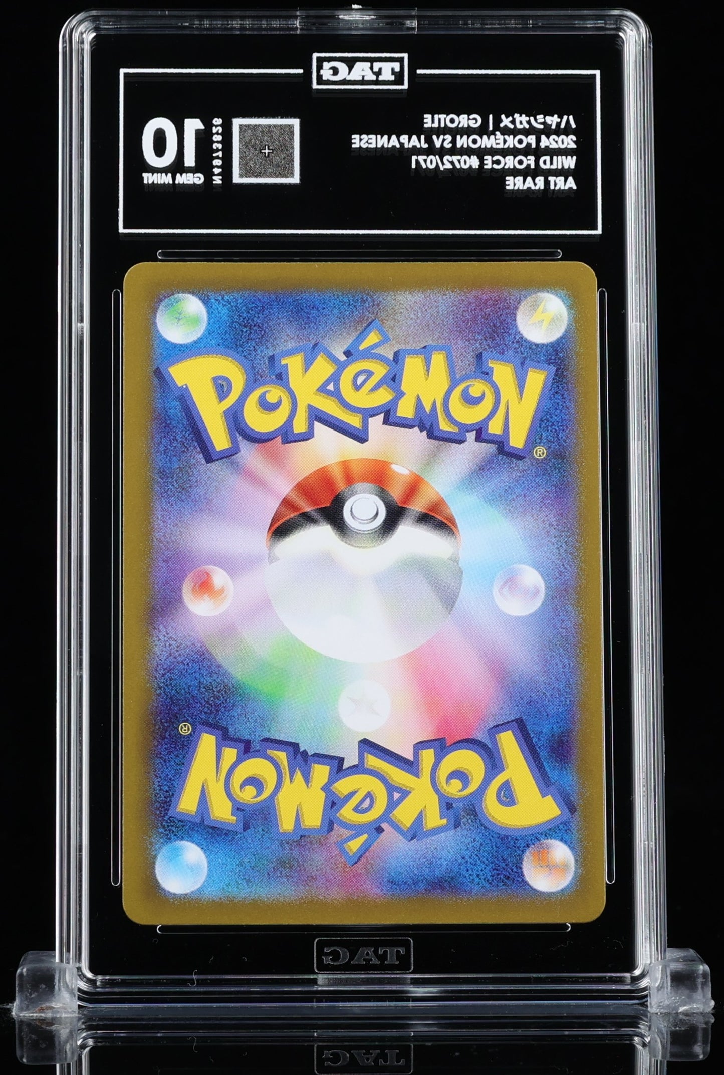 TAG 10 : GROTLE ハヤシガメ : 2024 POKÉMON SCARLET & VIOLET JAPANESE : #072/071 : WILD FORCE : ART RARE