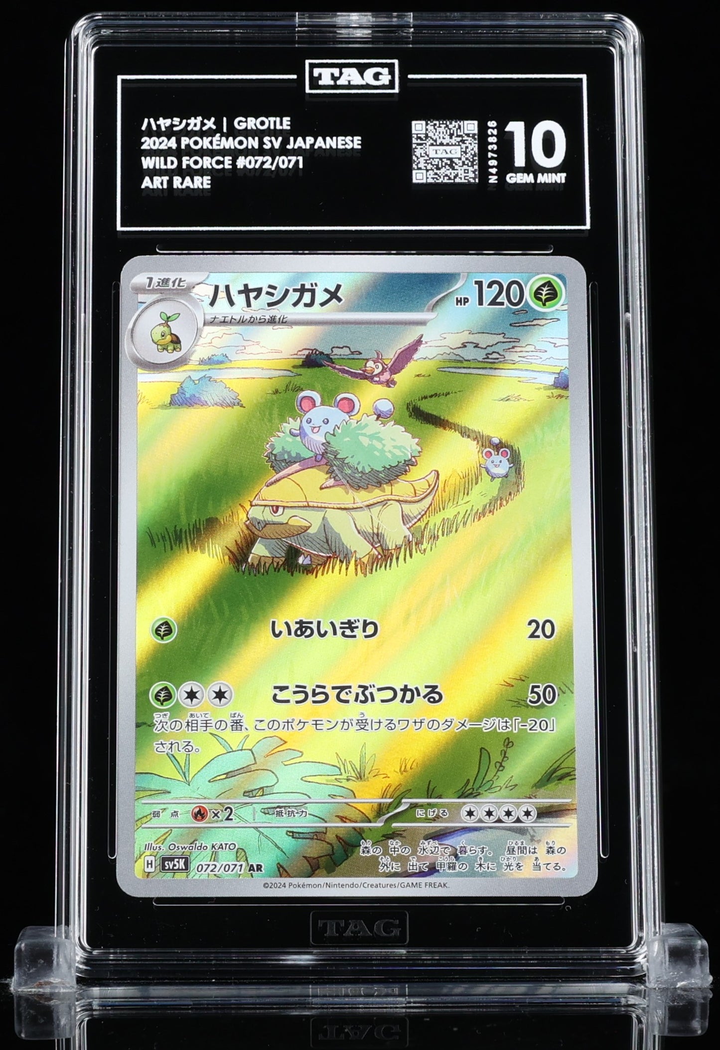 TAG 10 : GROTLE ハヤシガメ : 2024 POKÉMON SCARLET & VIOLET JAPANESE : #072/071 : WILD FORCE : ART RARE