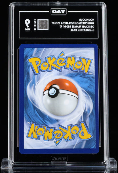 TAG 9 : HOUNDOUR : 2023 POKÉMON SCARLET & VIOLET : #204/197 : OBSIDIAN FLAMES : ILLUSTRATION RARE