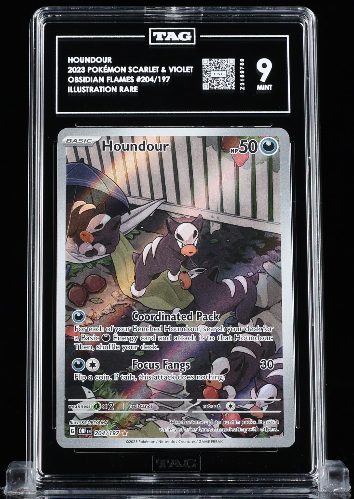 TAG 9 : HOUNDOUR : 2023 POKÉMON SCARLET & VIOLET : #204/197 : OBSIDIAN FLAMES : ILLUSTRATION RARE