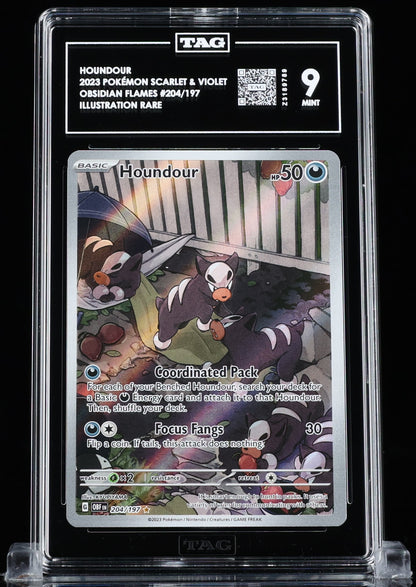 TAG 9 : HOUNDOUR : 2023 POKÉMON SCARLET & VIOLET : #204/197 : OBSIDIAN FLAMES : ILLUSTRATION RARE